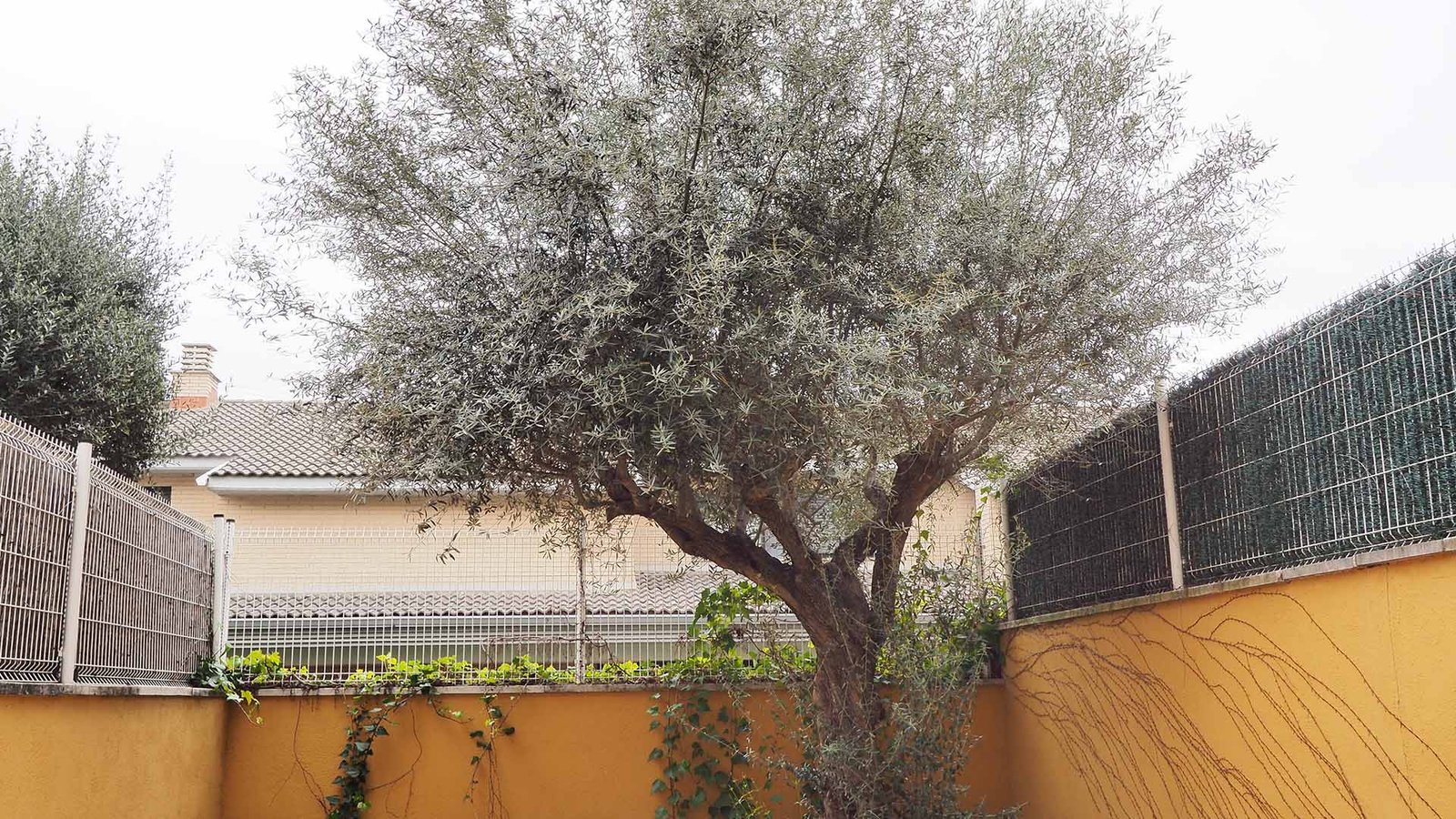 Jardin adosado en venta en Rubi, Barcelona